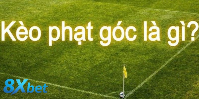 Khái niệm đúng về kèo cược phạt góc trong bóng đá