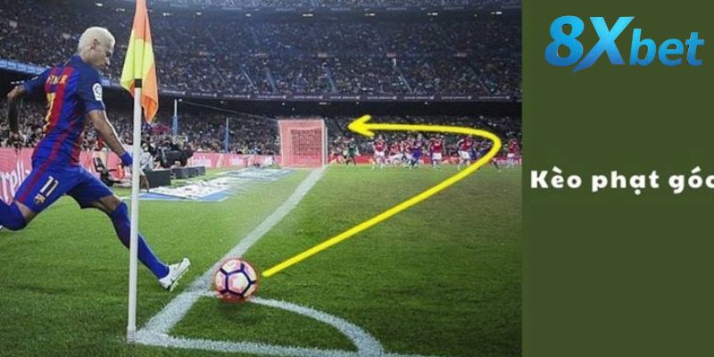 Kèo phạt góc 8xbet trong cá cược bóng đá chi tiết
