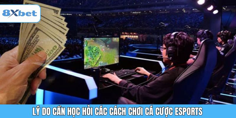 Lý do cần học hỏi các cách chơi cá cược esports