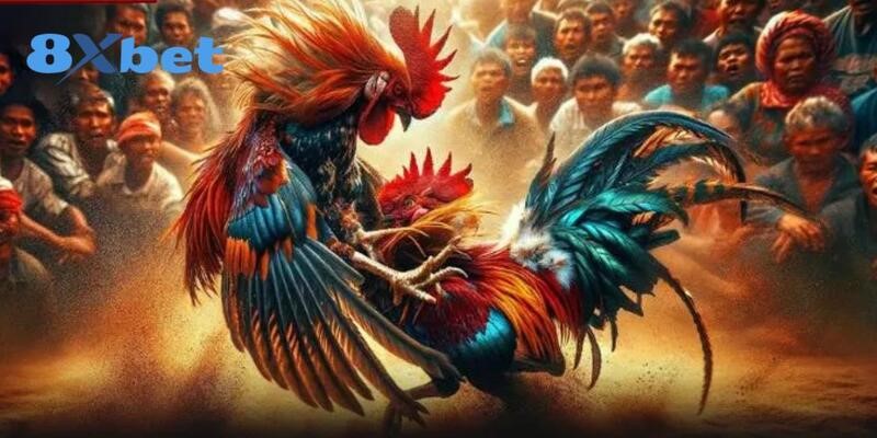 Mẹo chơi đá gà tại 8XBET giúp tăng tỷ lệ thắng.