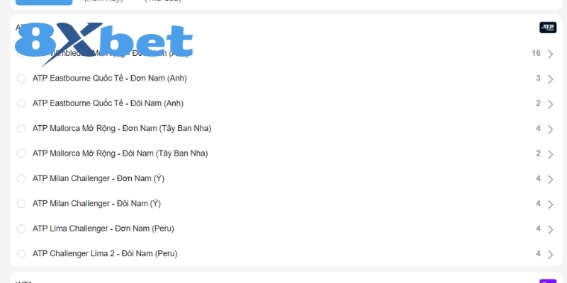 Thông tin khái quát chung về cá cược Tennis đến hội viên