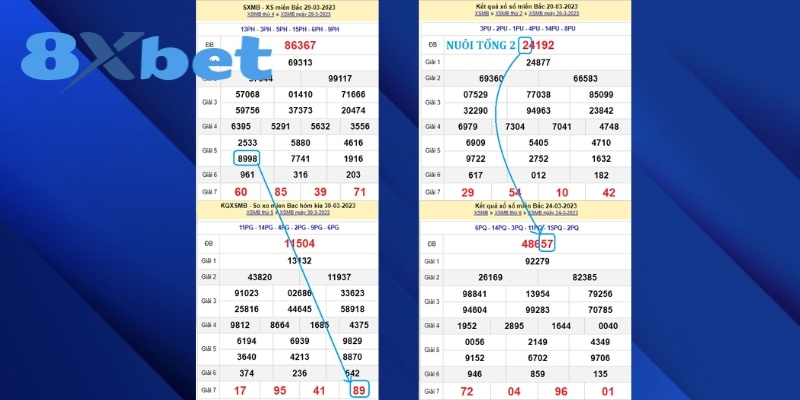 Dự đoán dàn đề nâng cao tỷ lệ thắng khủng